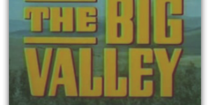 The Big Valley