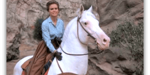 Beloved Outlaw