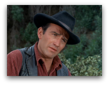 James Drury