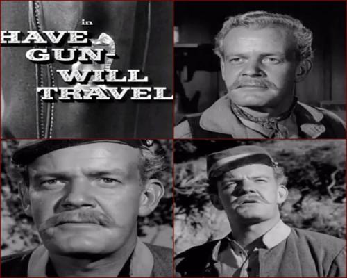 Have Gun Will Travel