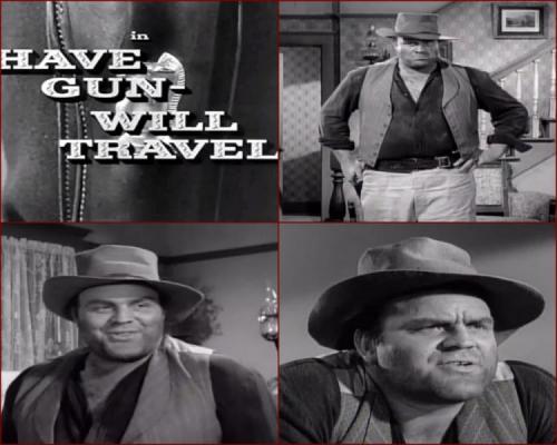 Have Gun Will Travel