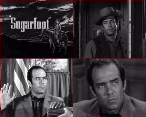 Sugarfoot
