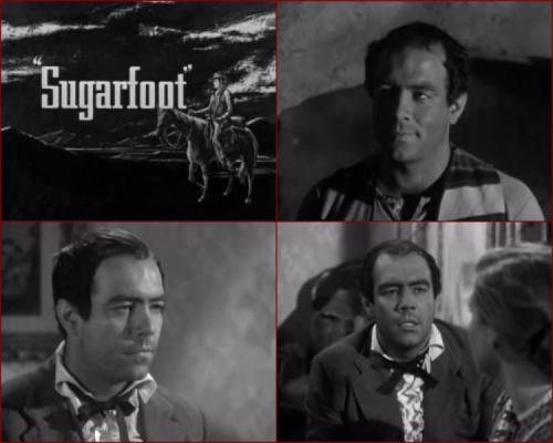 Sugarfoot