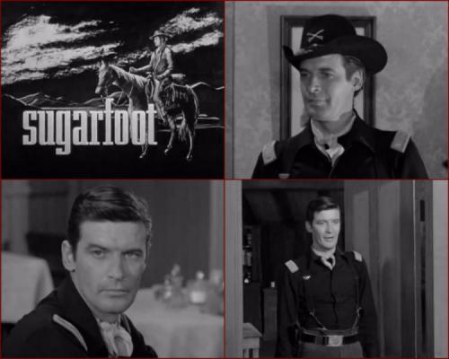 Sugarfoot