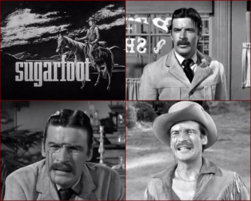 Sugarfoot